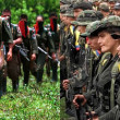 farc-y-eln