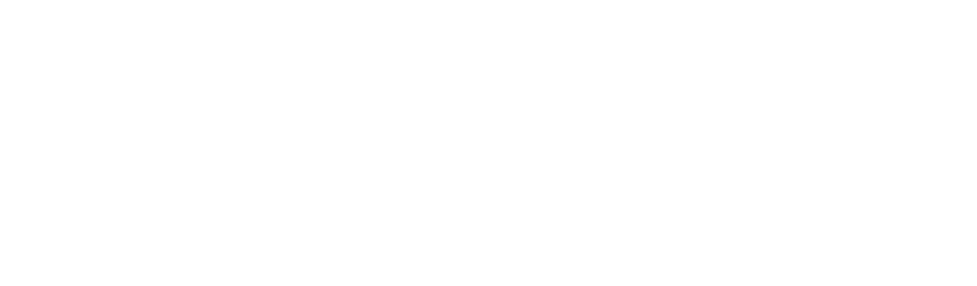Asociación Española de Marketing Político